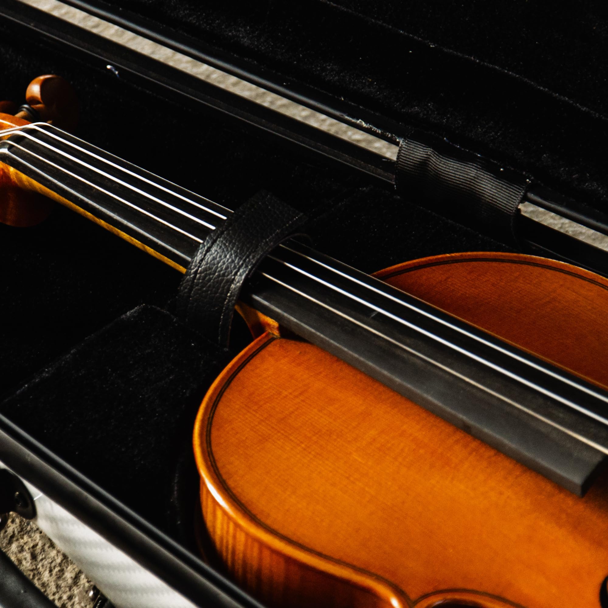 Amazon.com: Christina 4/4 Full Size Violin case High-Strength