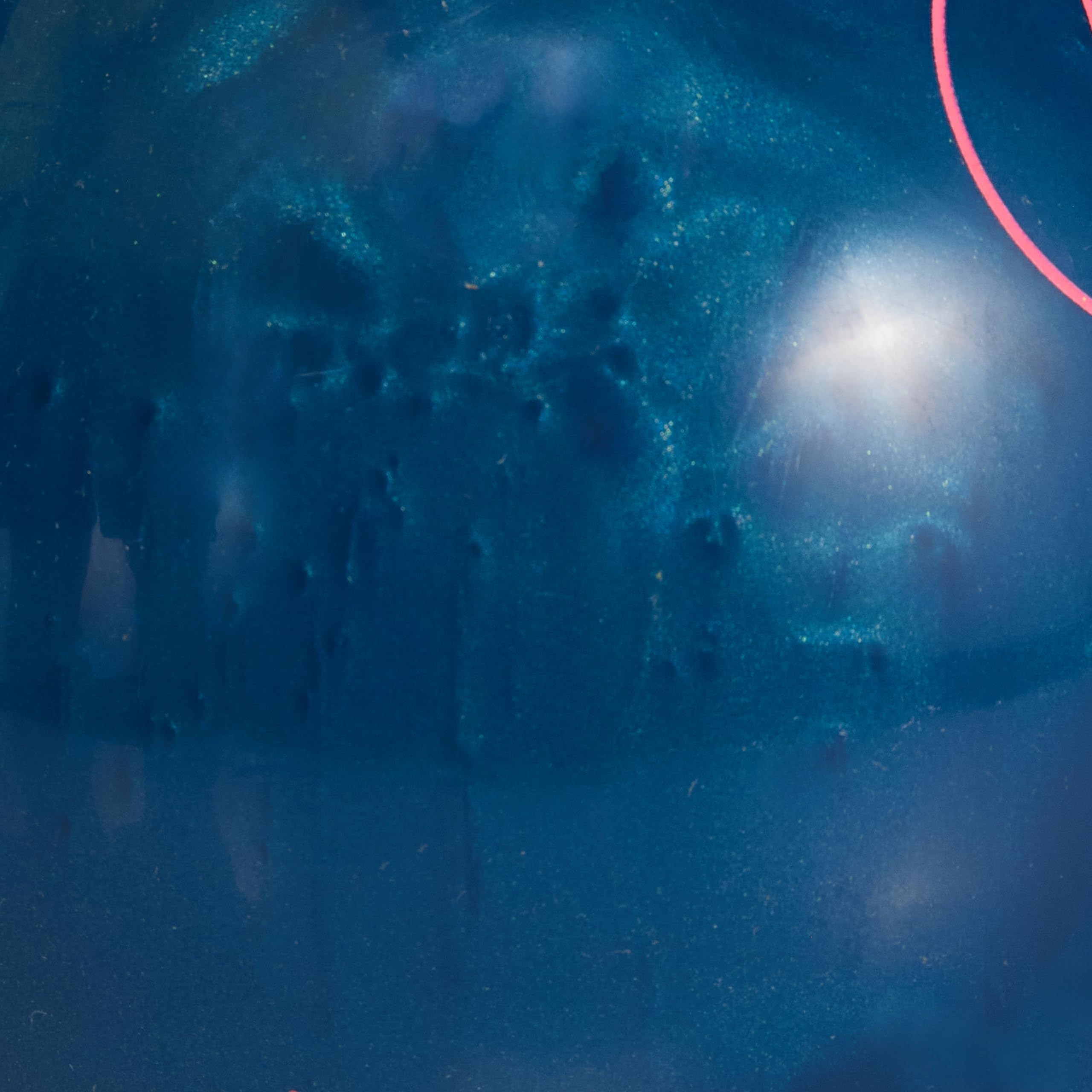 Amazon | Storm Fate 15ポンド | Storm | 槍投げ