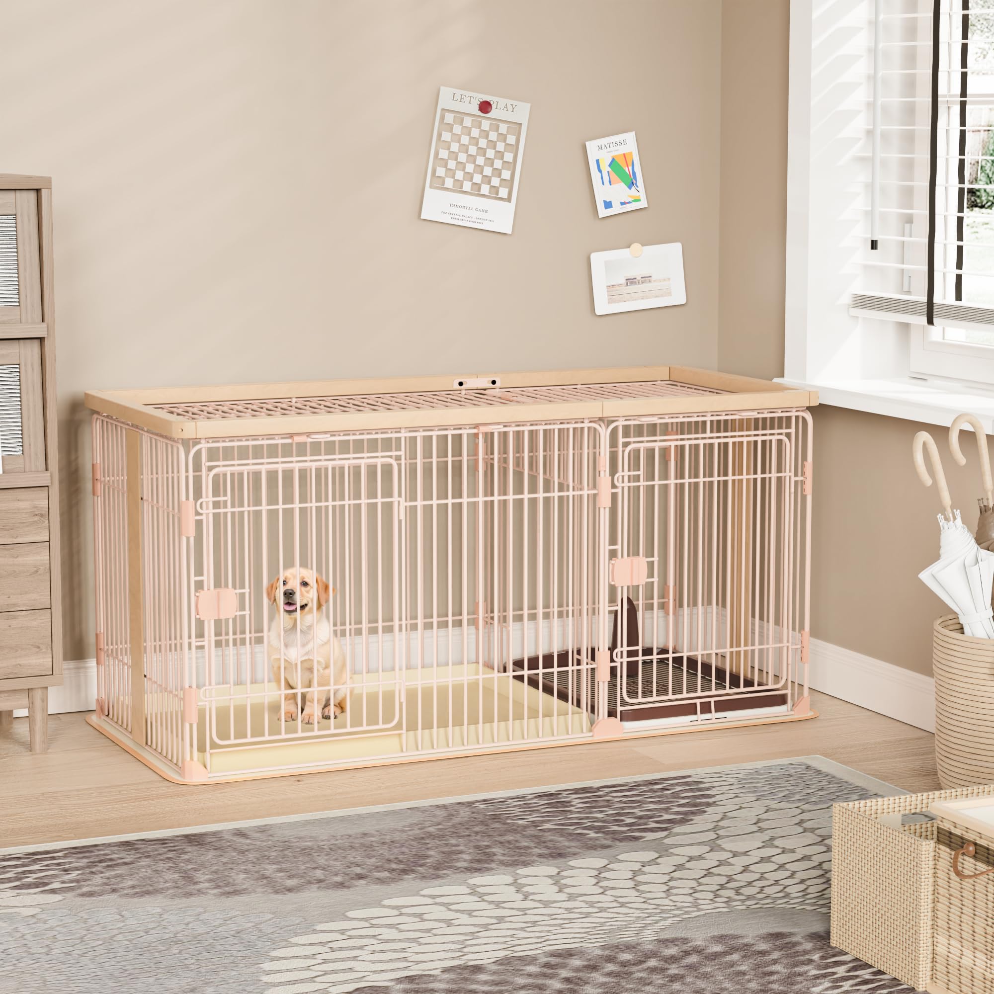 Amazon | Petnniko 犬 ケージ 犬 ゲージ 幅146×奥行68×高さ70cm 小中