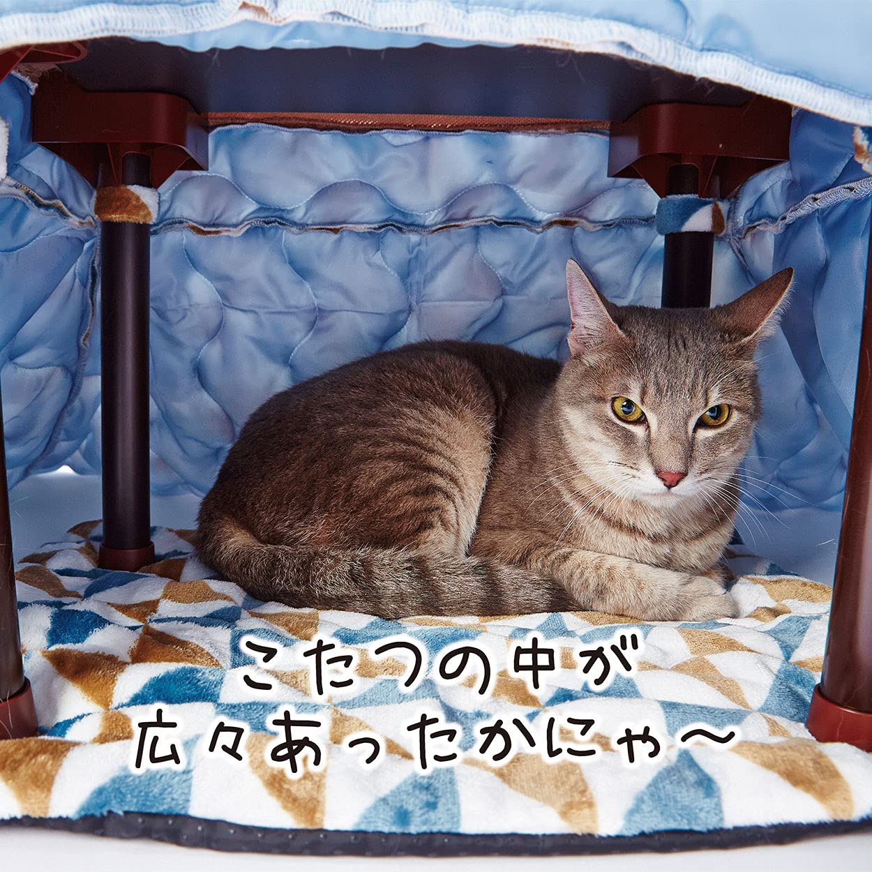 Amazon | ペティオ (Petio) 犬猫用 カラダ全体をあたためるペットの