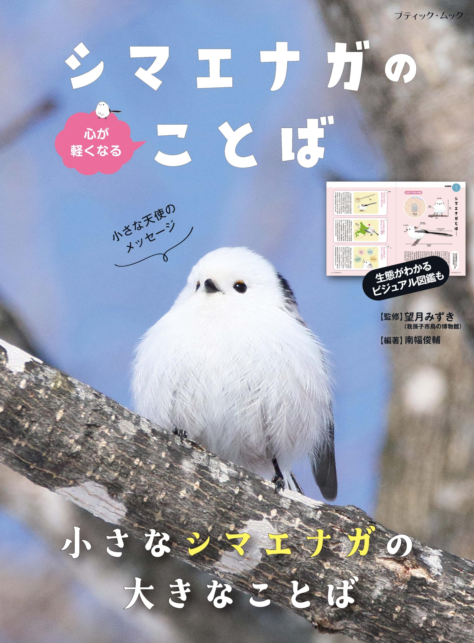 シマエナガのポストカード付/心が軽くなる シマエナガのことば