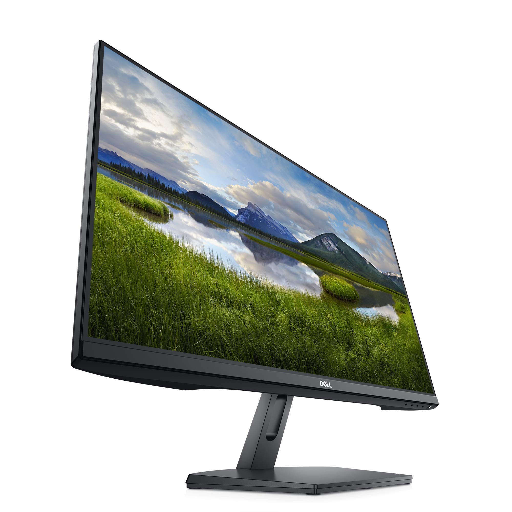Amazon.com: Dell SE2419Hx 23.8