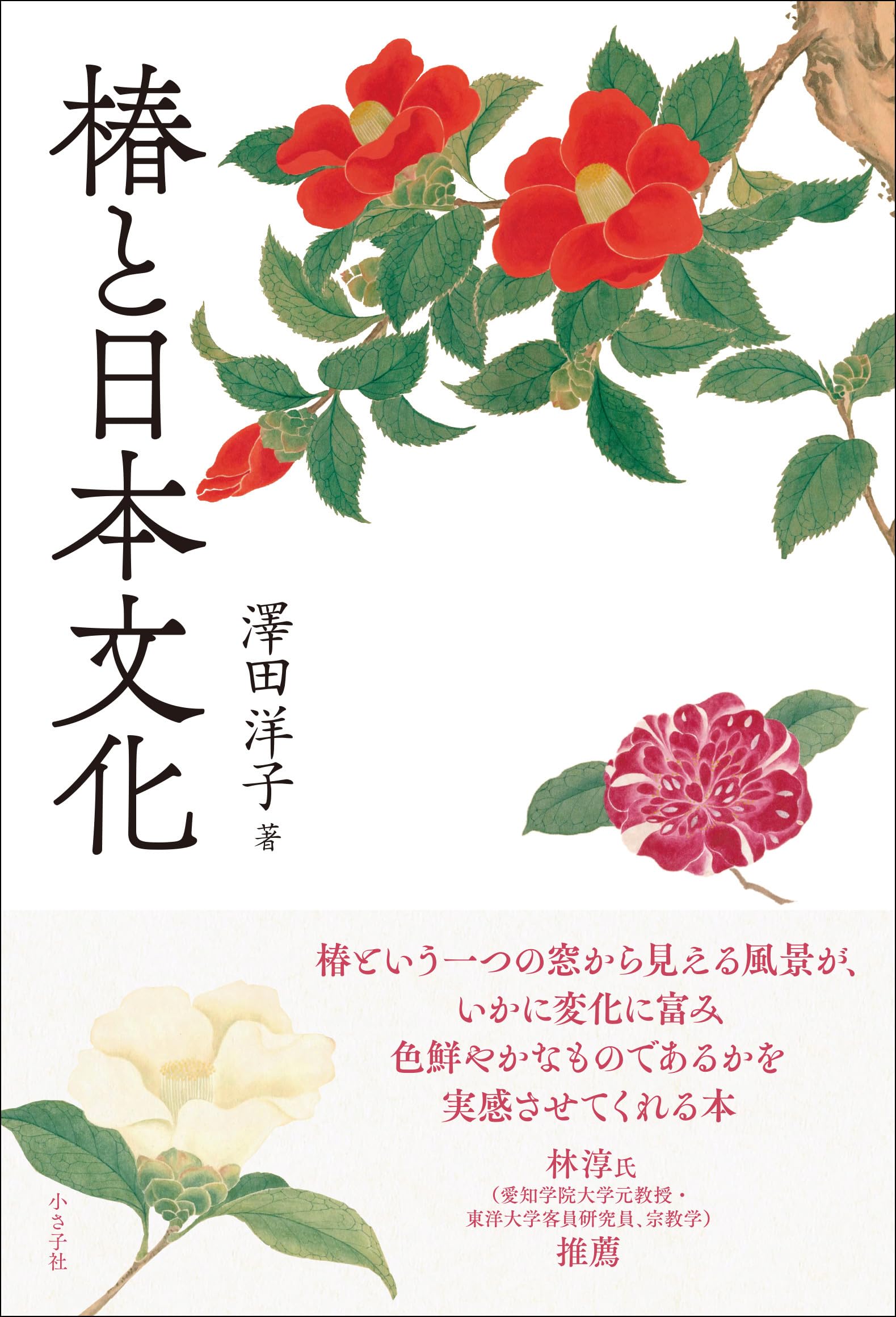 椿と日本文化 | 澤田 洋子 |本 | 通販 | Amazon