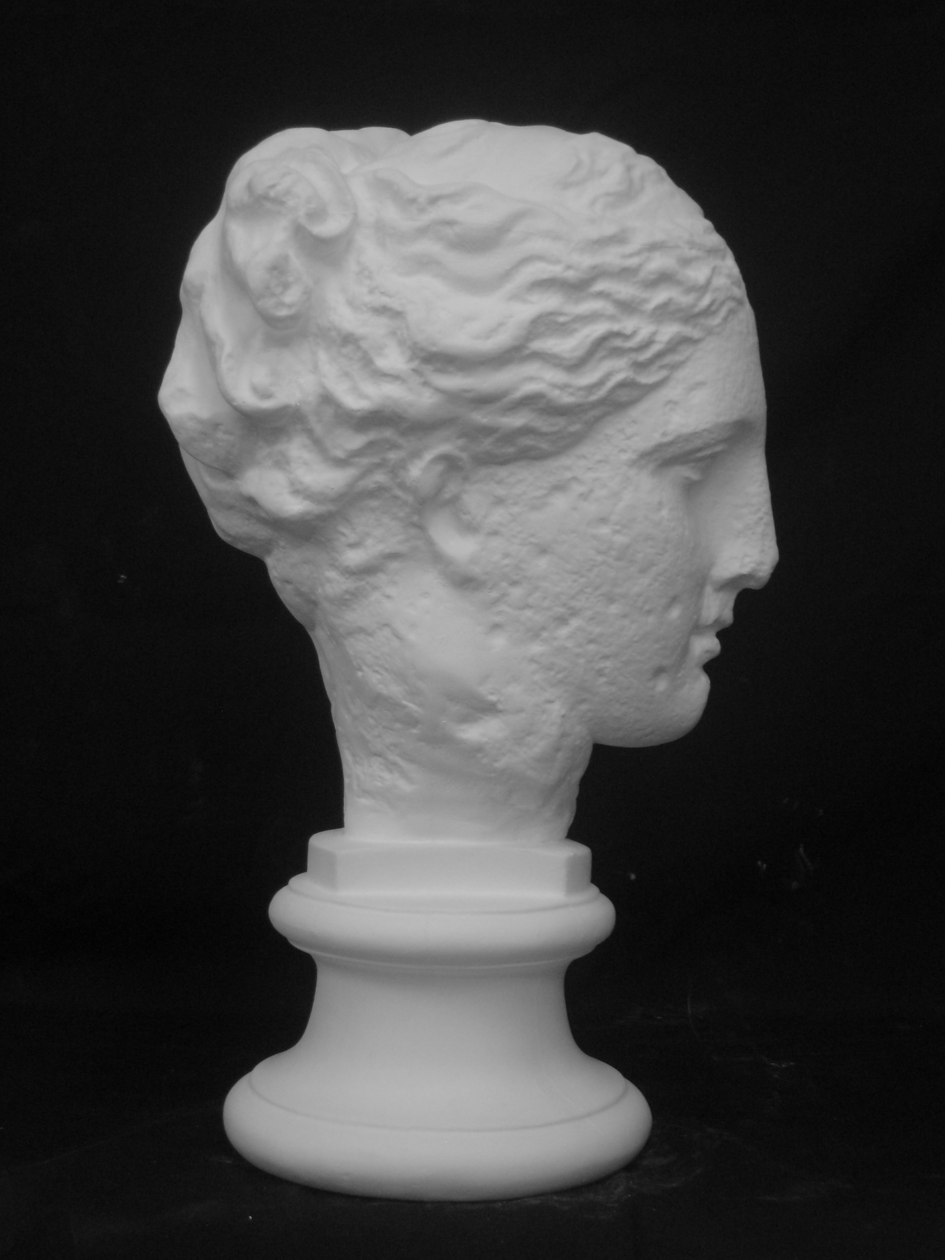 Amazon.co.jp: 石膏像 S－205 古代ヴィーナス首像（アバタの