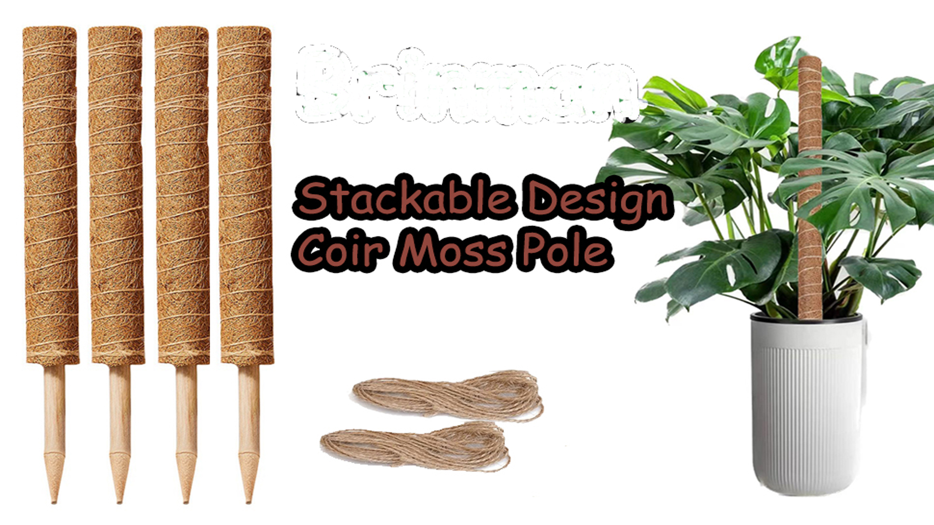 Amazon.com : Moss Pole, 4Pack 21 Inch Plant Support Stakes for