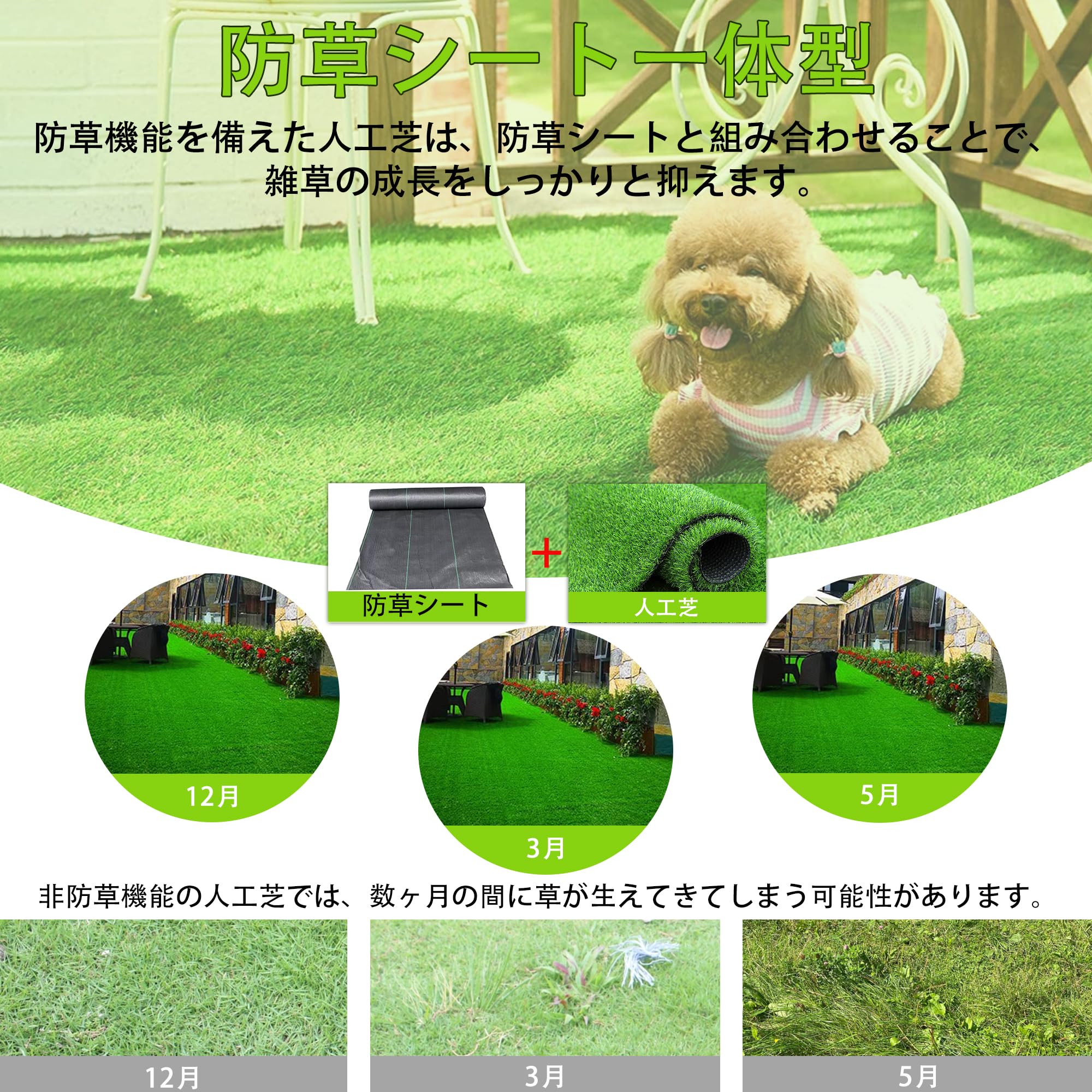 Amazon | [RsBarter] 人工芝 1m×5m ロールタイプ 芝丈20mm 防草シート