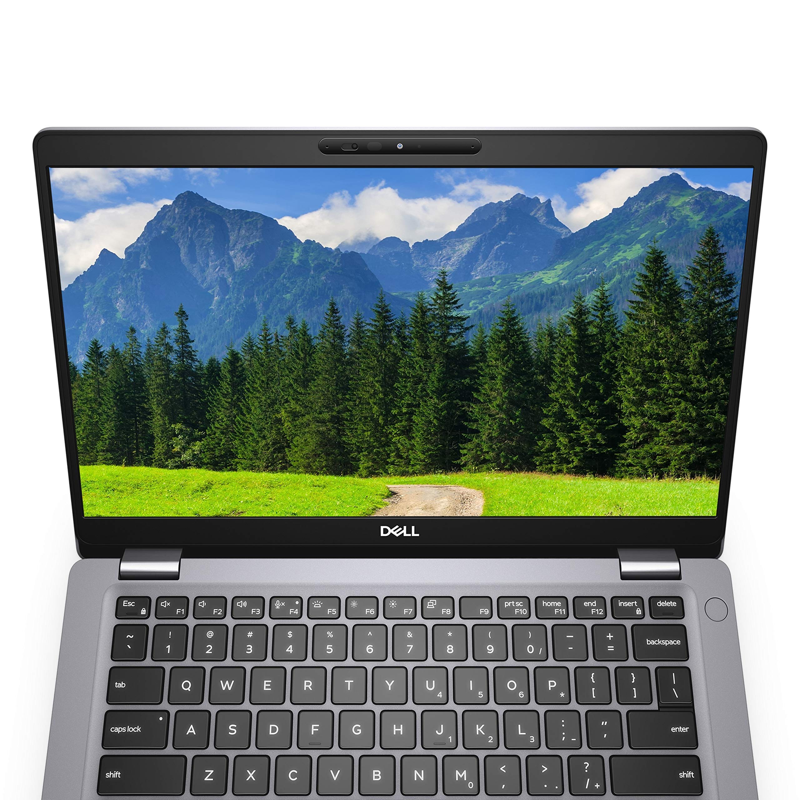 Amazon.com: Dell Latitude 5310 13.3