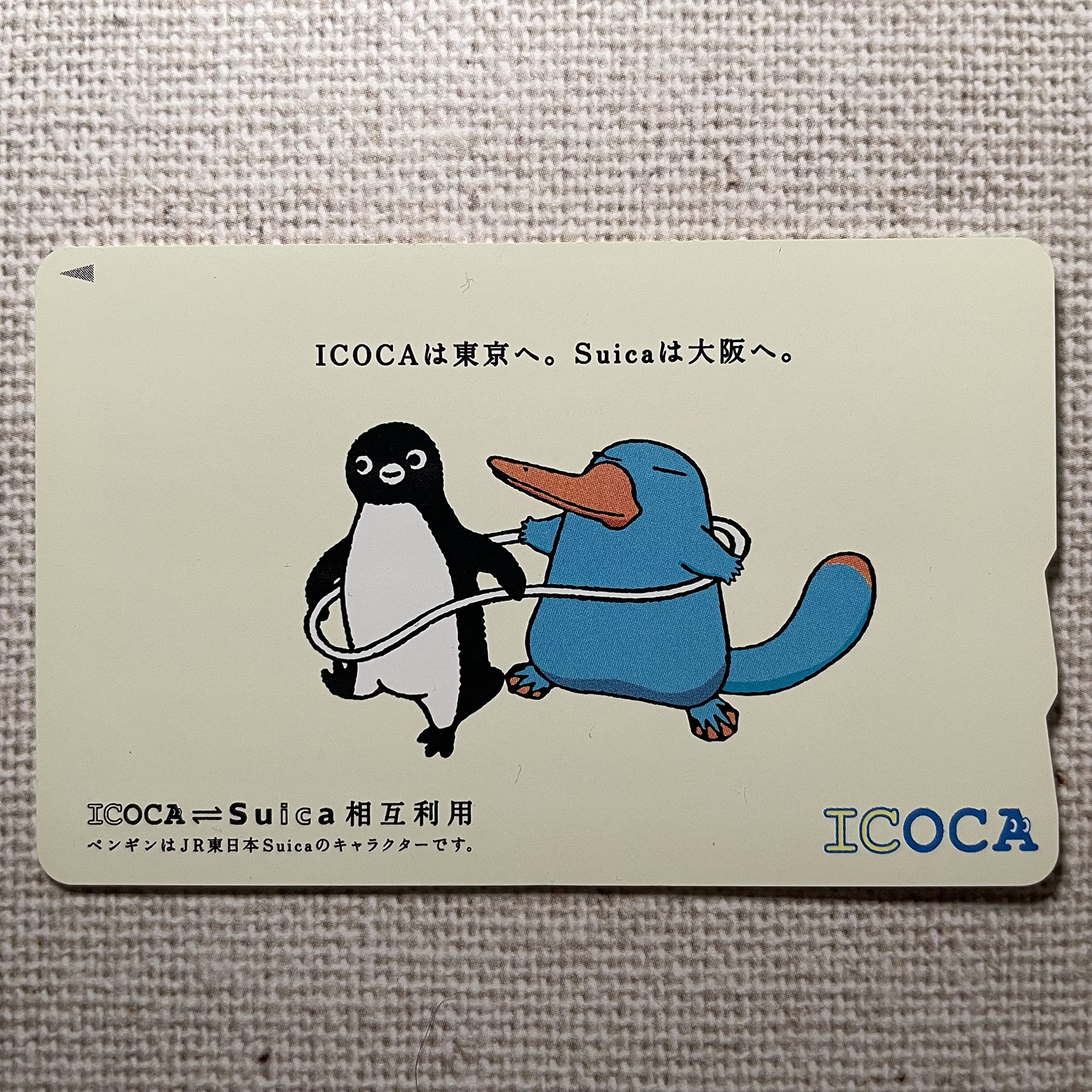Amazon.co.jp: Suica 相互利用記念 ICOCA（イコカ） イコちゃん