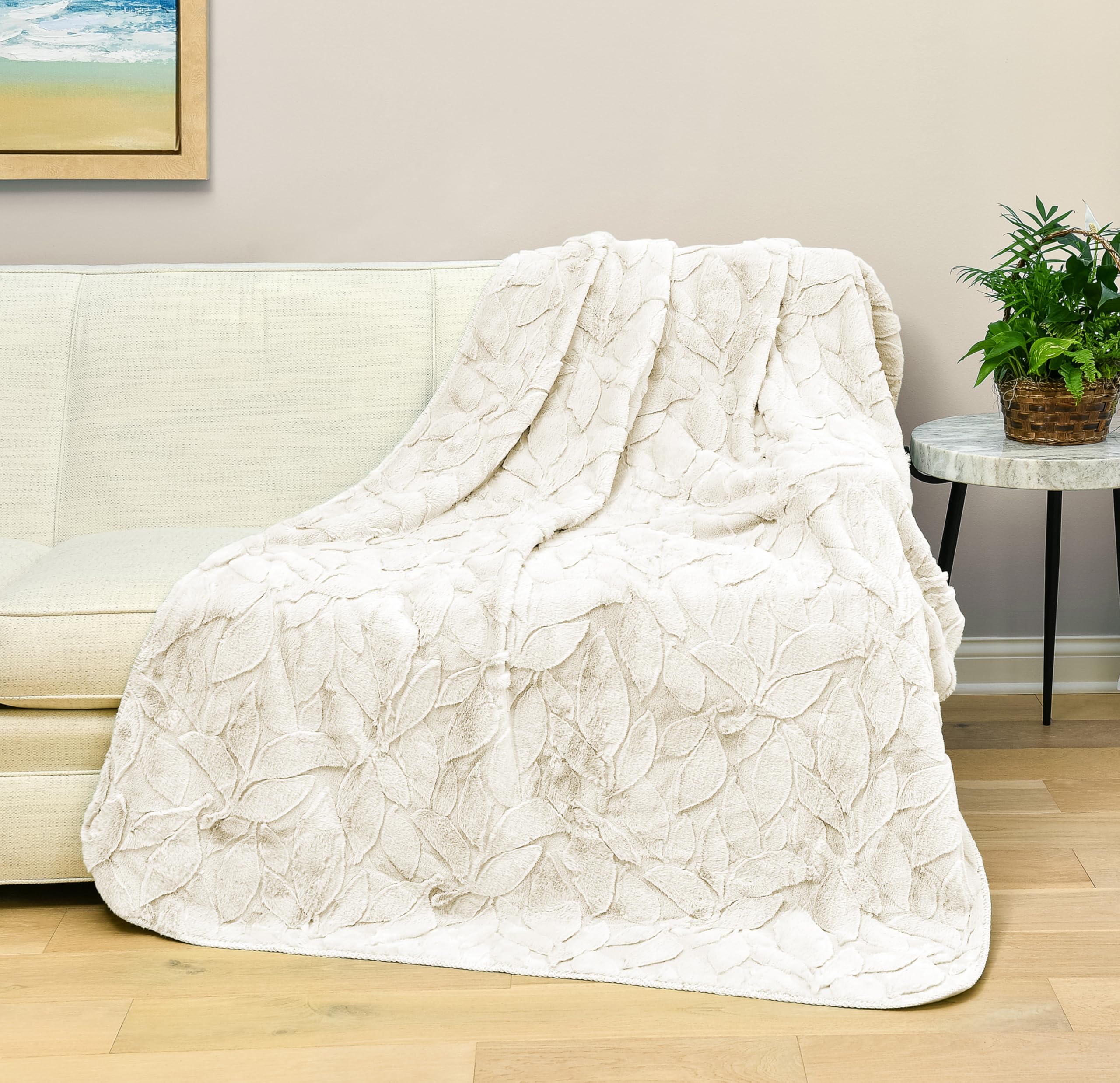 Amazon.com: Northwest HGTV Luxuriously Soft Faux Fur Throw Blanket