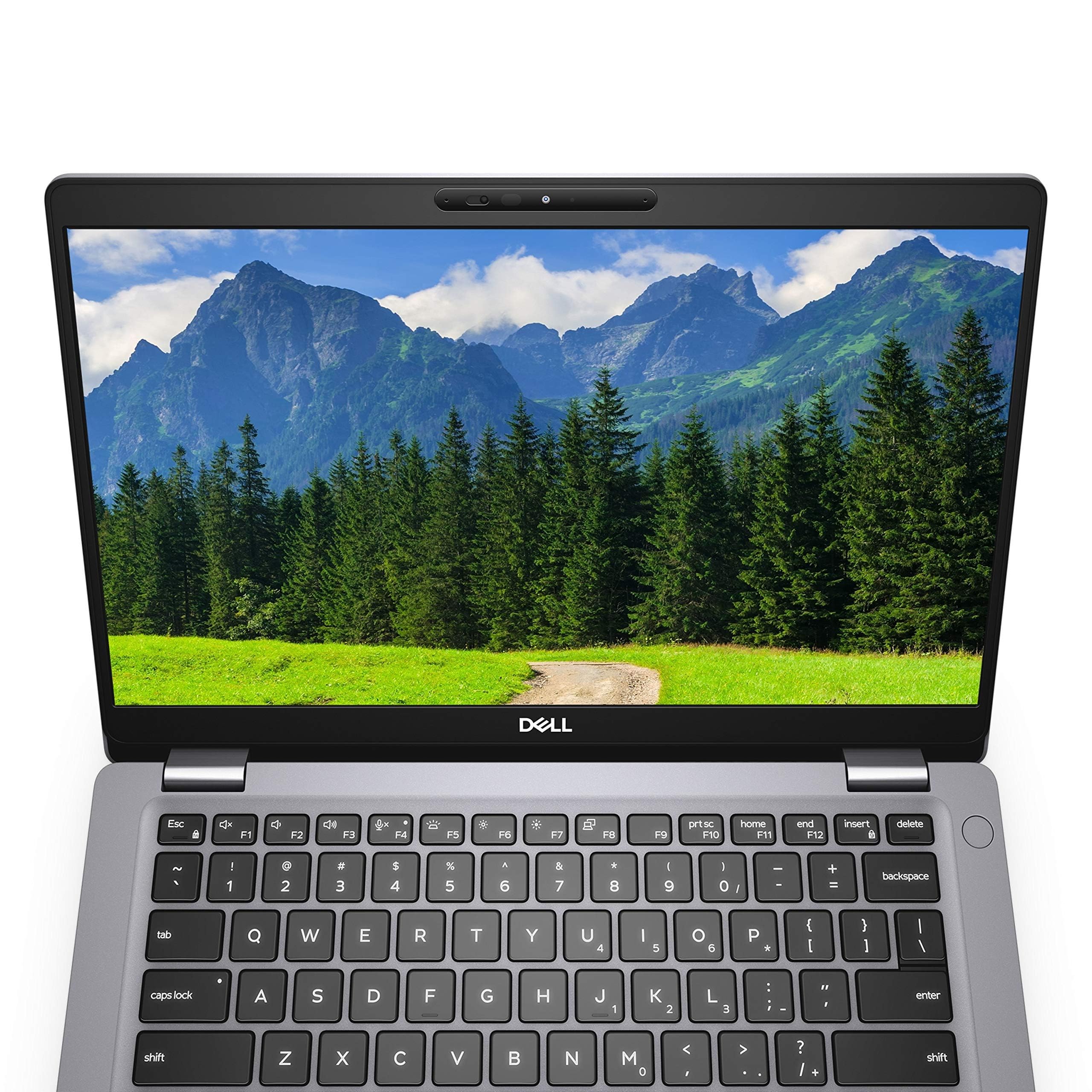 Amazon.com: Dell Latitude 5310 13.3