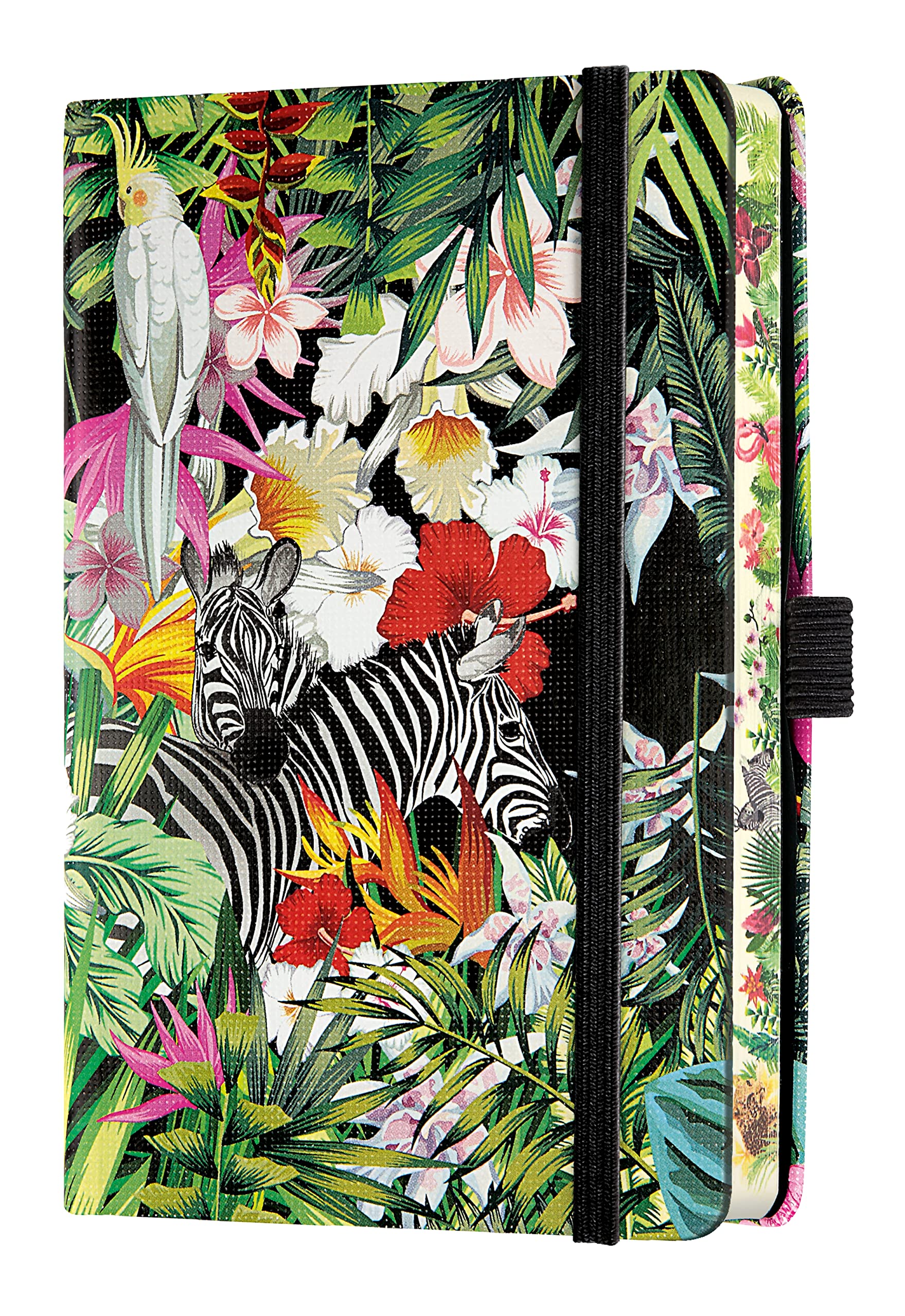 Amazon | カステリミラノ ノート ポケット 7mm 横罫 EDEN CASTELLI