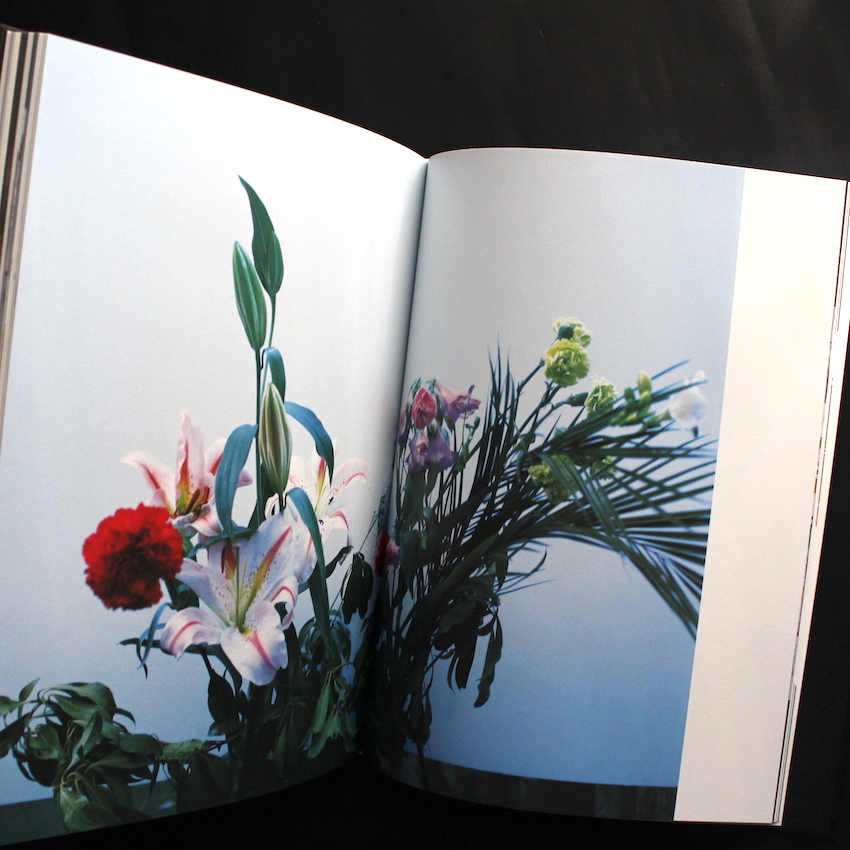 花人生 限定版 / Hana-Jinsei Limited Edition（With Polaroid