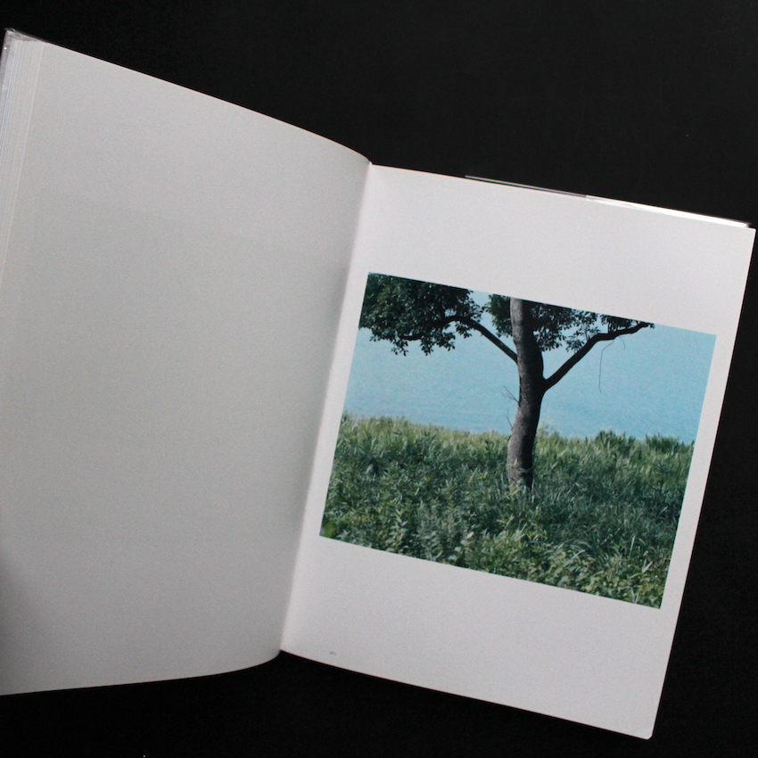 意識の流れ / Stream of Consciousness（White Cover） - 鈴木 理策