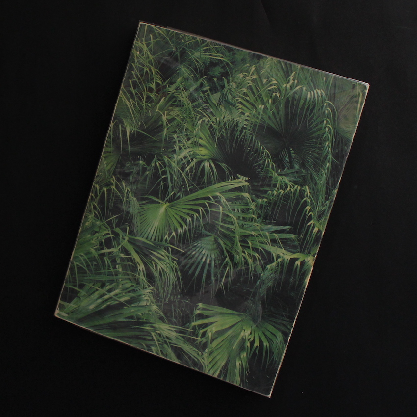 沖縄マンダラ / Okinawa Mandala（Signed） - 東松 照明 / Shomei Tomatsu