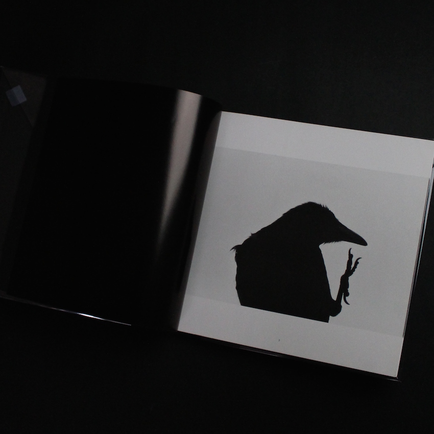 鴉 / Ravens - 深瀬 昌久 / Masahisa Fukase