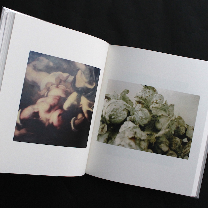 Cy Twombly Photographs Lyrical Variations - Cy Twombly