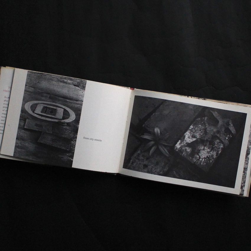 The Park - Helen Buttfield