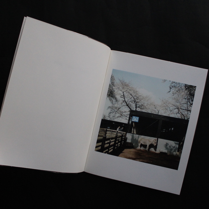 These are days - 原 美樹子 / Mikiko Hara