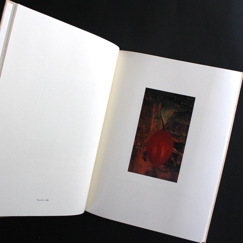 Into the Silent Land - 上田 義彦 / Yoshihiko Ueda