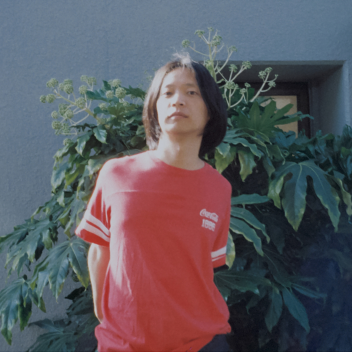 Summer Eye - MAGICHOUR