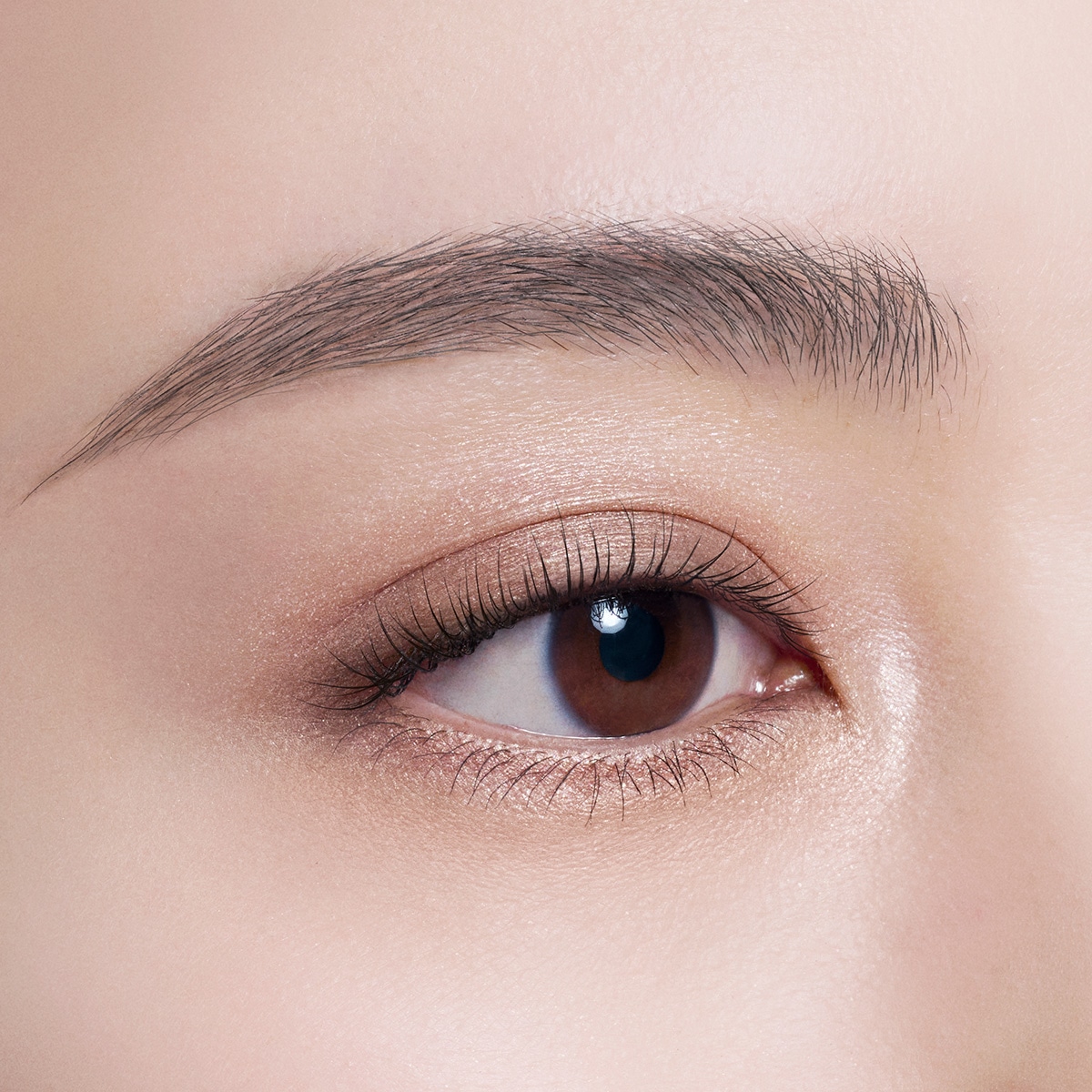 コスメデコルテ スキンシャドウ デザイニング パレット