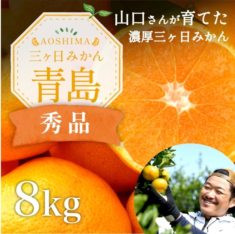 三ケ日濃厚熟みかん「青島」8kg(S～LLサイズ)（秀品相当） - 浜名湖