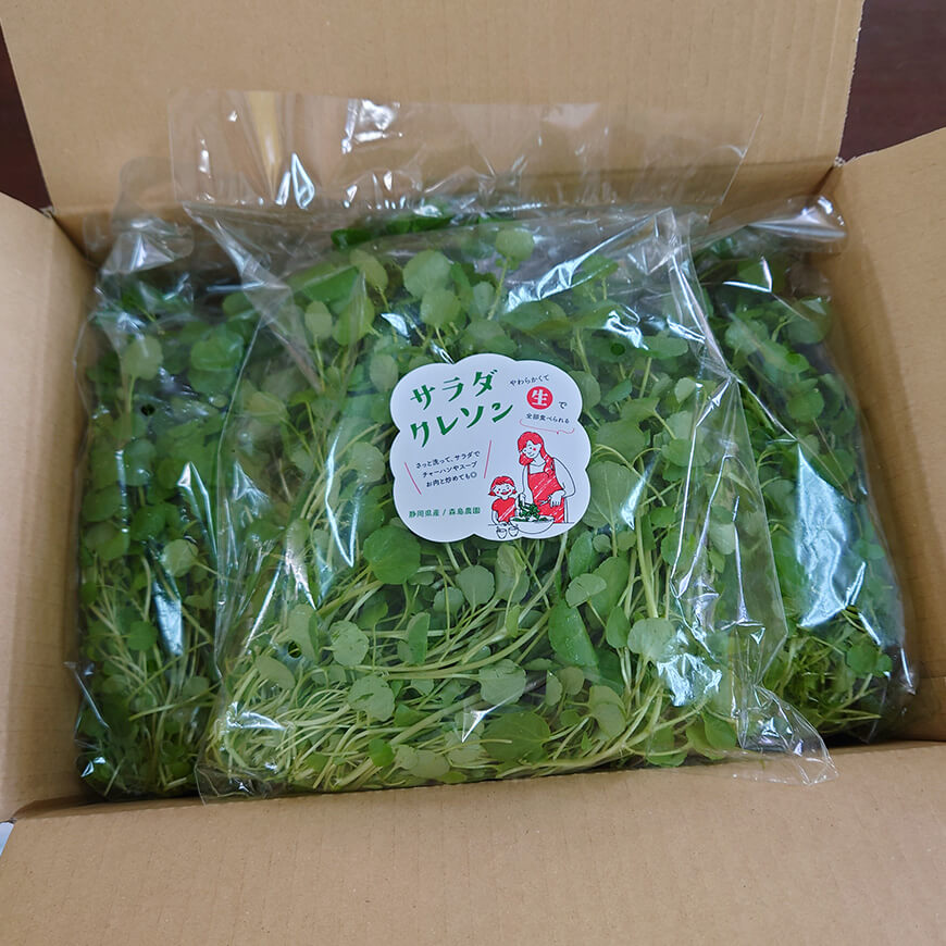 大容量でお買得♪サラダクレソン 1kg（200g×5袋）セット - 浜名湖産直