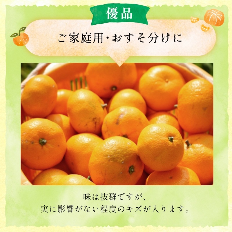 三ケ日濃厚熟みかん「青島」8kg(S～3Lサイズ)（優品相当） - 浜名湖