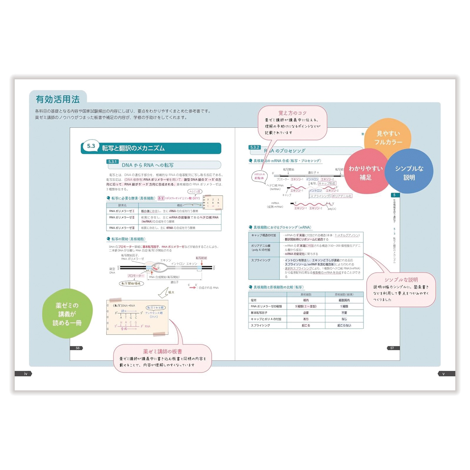 薬ゼミの要点集 ③生物 | 国家試験対策 | 薬ゼミウェブストア