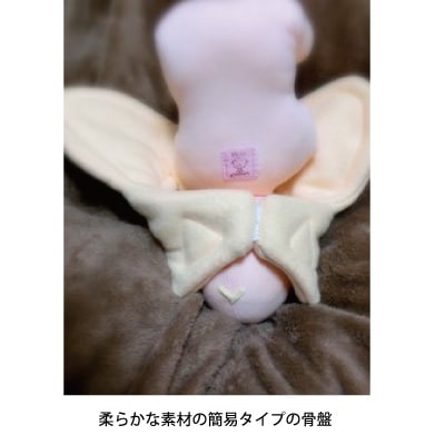 骨盤＋胎児人形～ 助産実習セットA