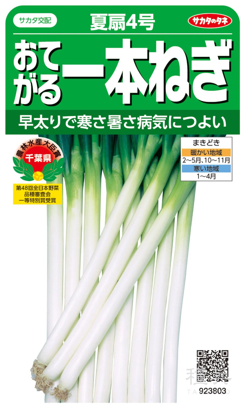 ネギ 種 『夏扇4号』 サカタのタネ | たね,葉菜の種,ネギ,根深・白ネギ