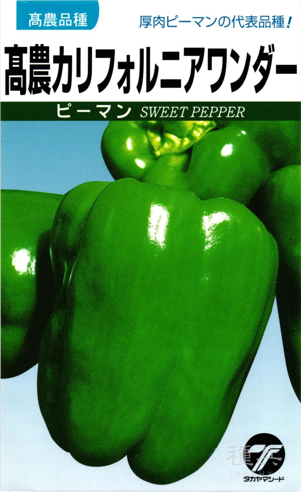肉厚ピーマン 種 『高農カリフォルニアワンダー』 タカヤマシード