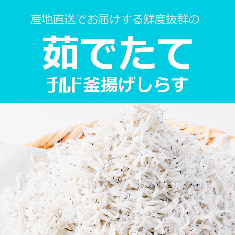 産直】茹でたてチルド釜揚げしらす1kg | しらす問屋とびっちょ