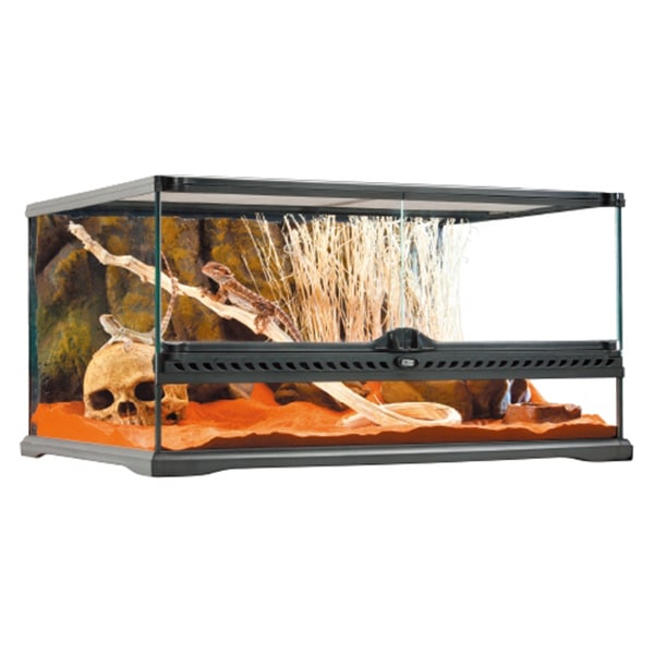 グラステラリウム 6030 PT2604 GEX（ジェックス） | TOPCREATE