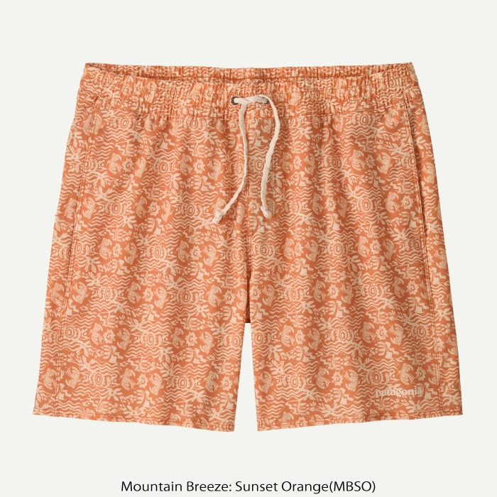 patagonia パタゴニア メンズ・ハイドロピーク・バレー・ショーツ 16