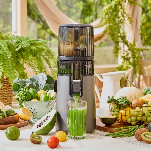 ヒューロム HUROMスロージューサー H70ST チタングレー H70ST-BAS02TG