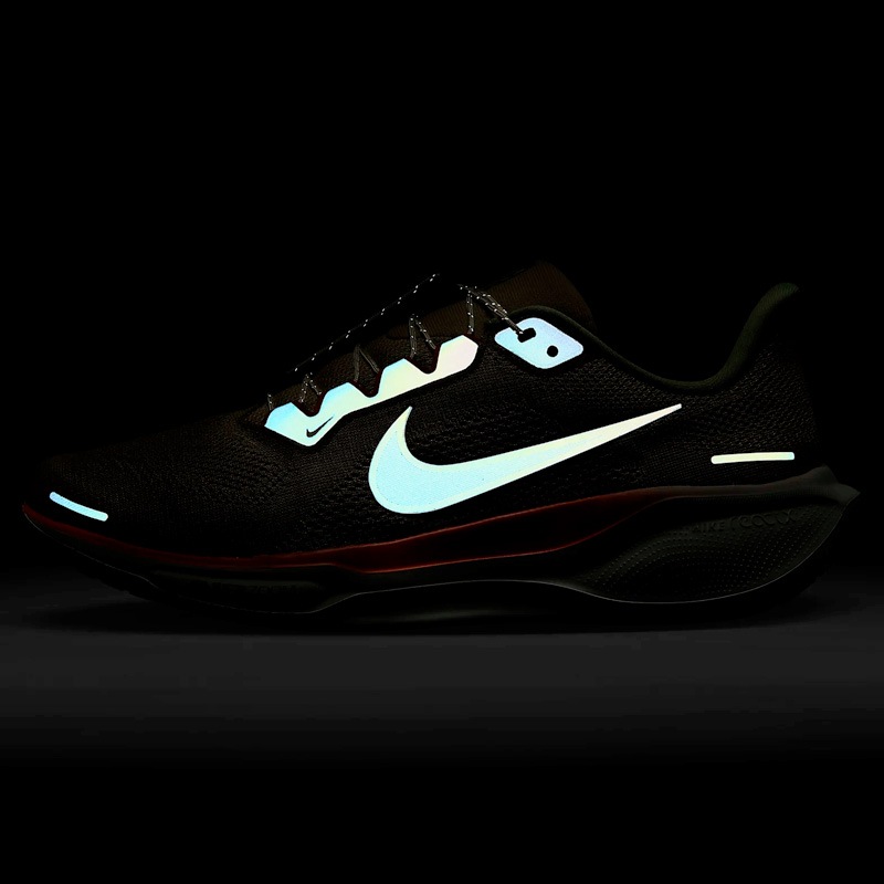 ナイキ NIKE エア ズーム ペガサス 41 プレミアム HJ7331-276 メンズ