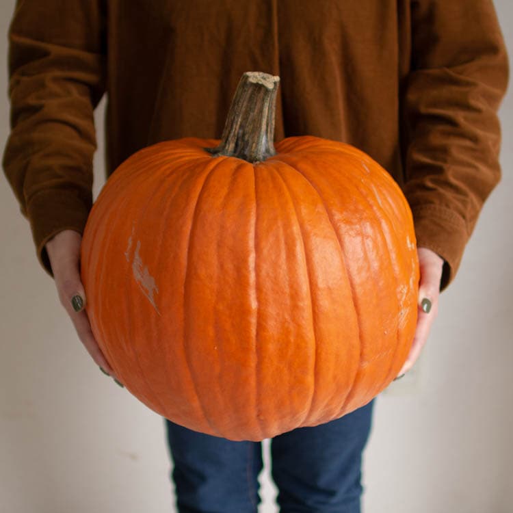 インパクト抜群／送料無料「ハロウィン用に 3Lサイズ 巨大な本物 生