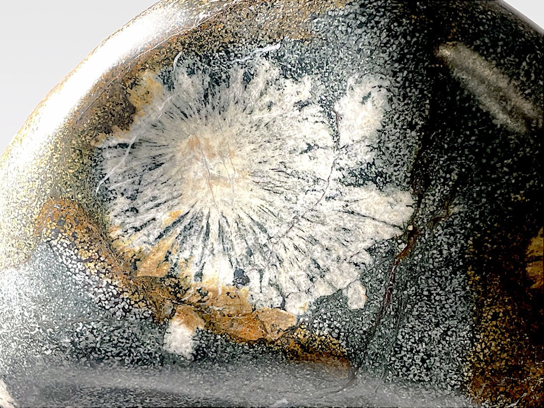 岐阜県根尾谷産 大型 天然 菊花石 (木製台座付き)