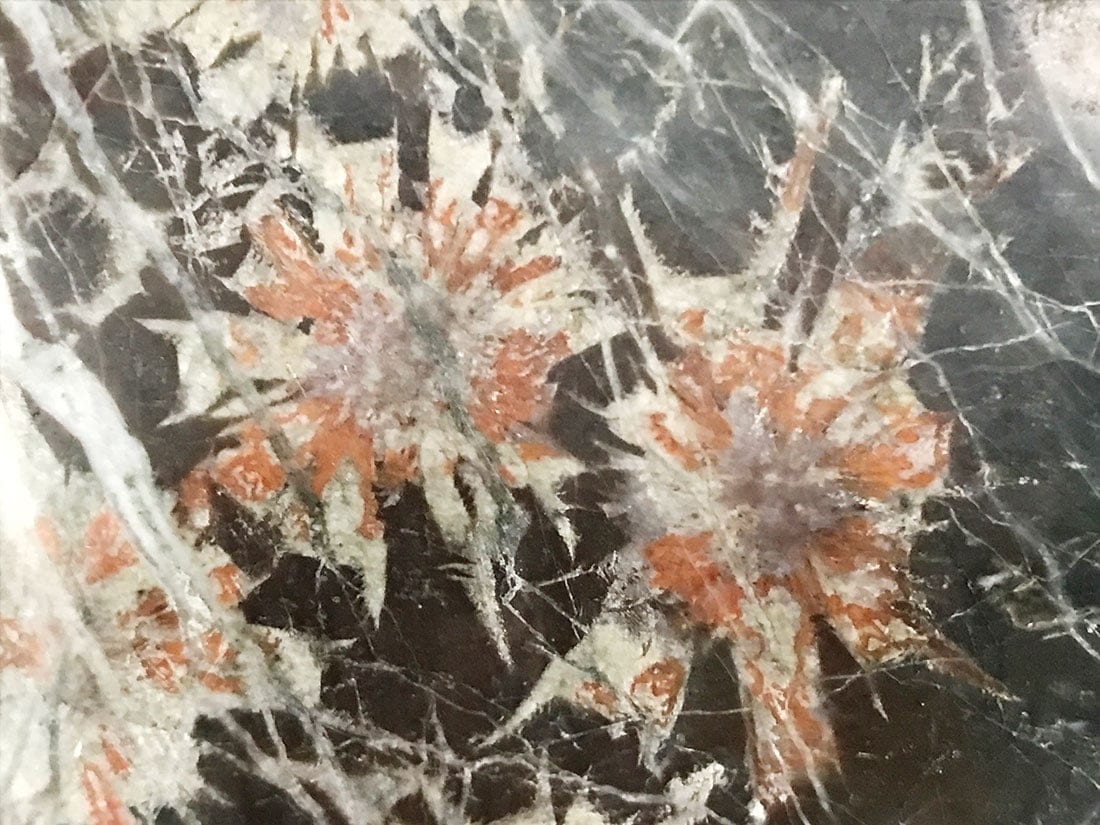 岐阜県根尾谷産 菊花石 (木製台座付き)