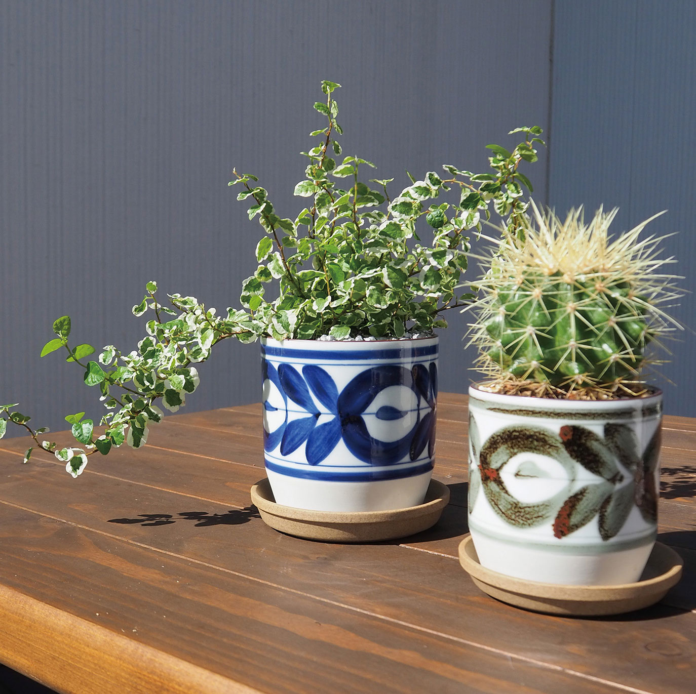 植器 HASAMI-made 波佐見焼で作られた磁器鉢 ＜廻り花茶 85mm＞ | 園芸