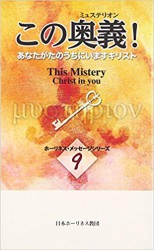 ファイヤーバイブル（Aオレンジ） （791129）（日本キリスト教書販売