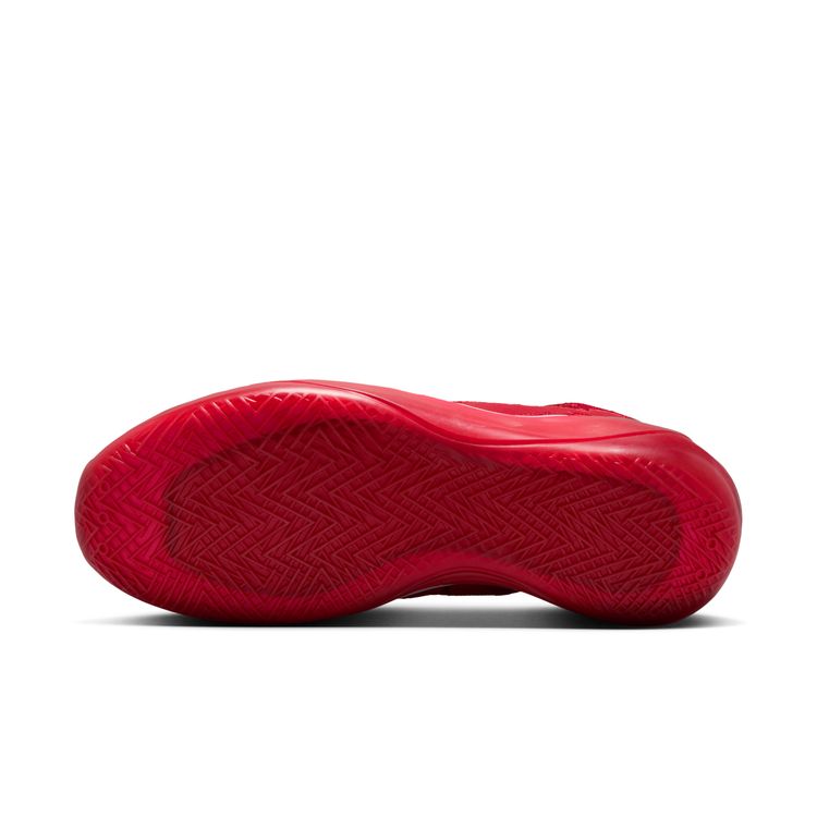 ナイキ/ジョーダンブランド/エア ジョーダン 39 PF/バスケットボール