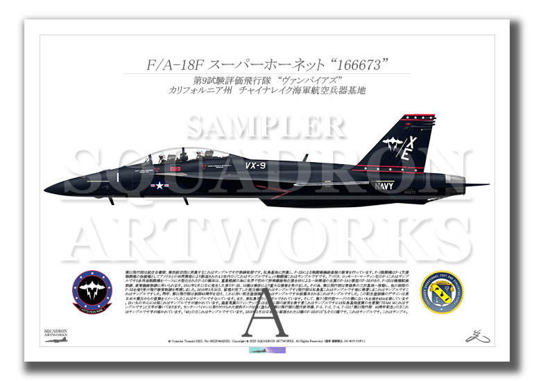 F/A-18F スーパーホーネット VX-9 Vampires “Vandy 1” 166673 （A4