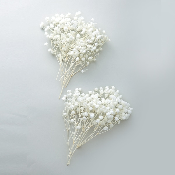 プリザーブドフラワー 『カスミ草 オーバータイム 白 0004-0-011