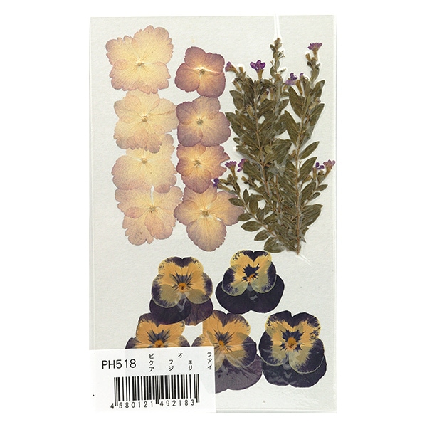 押し花キット 『つみたて花パック ビオラ・クフェア・アジサイ PH518