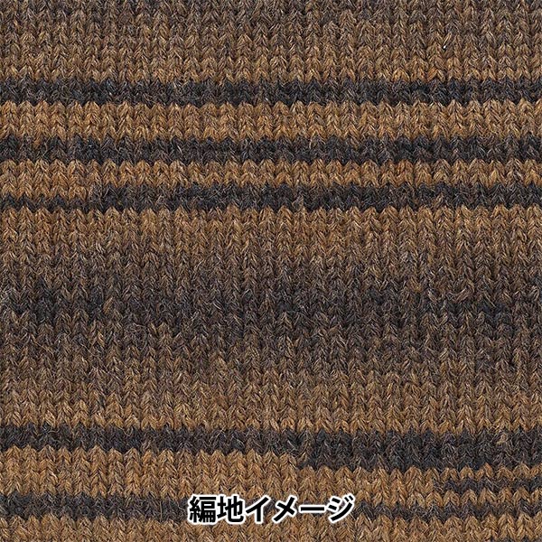 秋冬毛糸 『アンデネス 8番色』 RichMore リッチモア 毛糸_,メーカーで