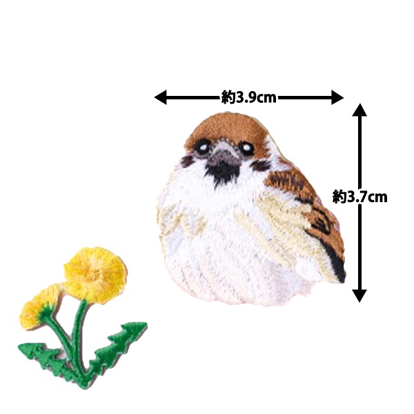 2_000000160627.jpg?1733461893