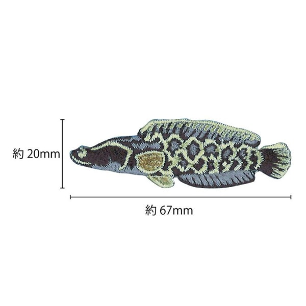 ワッペン 『図鑑コレクション ライギョ ZCW-10』 ソーイング,ワッペン