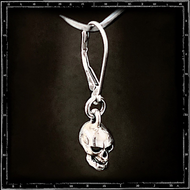 3D SKULL EARRING | クレイジーピッグ公式オンラインストア ピアス